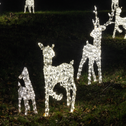 luminate margam